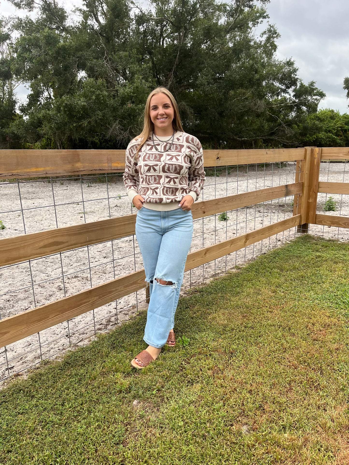 Bows & Horseshoes  Fashion Western Pattern Sweater | S-4X