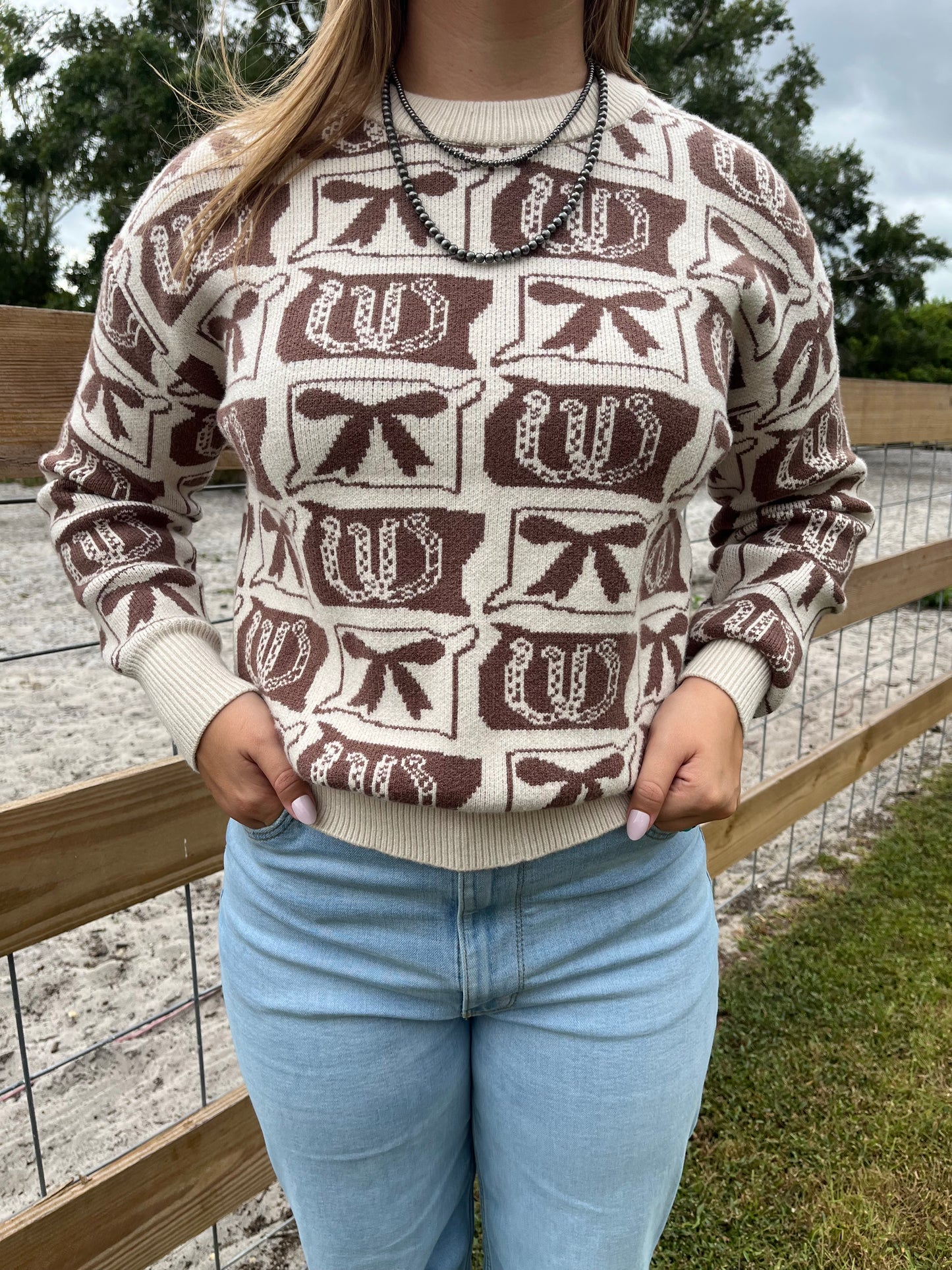Bows & Horseshoes  Fashion Western Pattern Sweater | S-4X